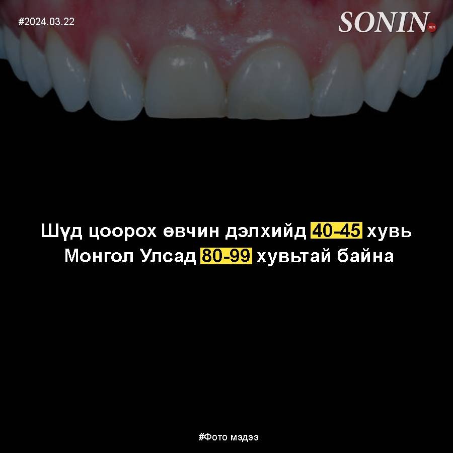 sonin.mn