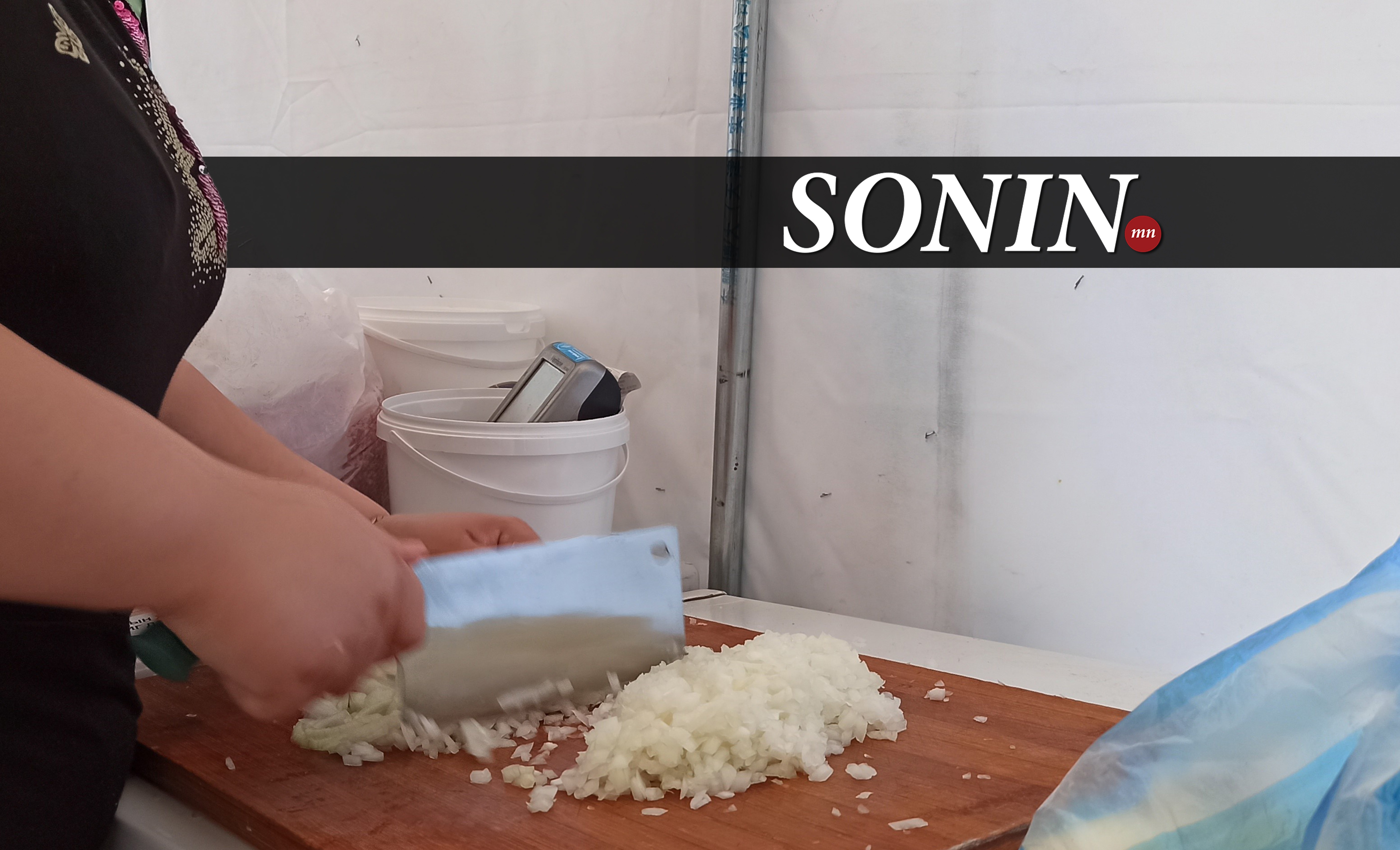 sonin.mn