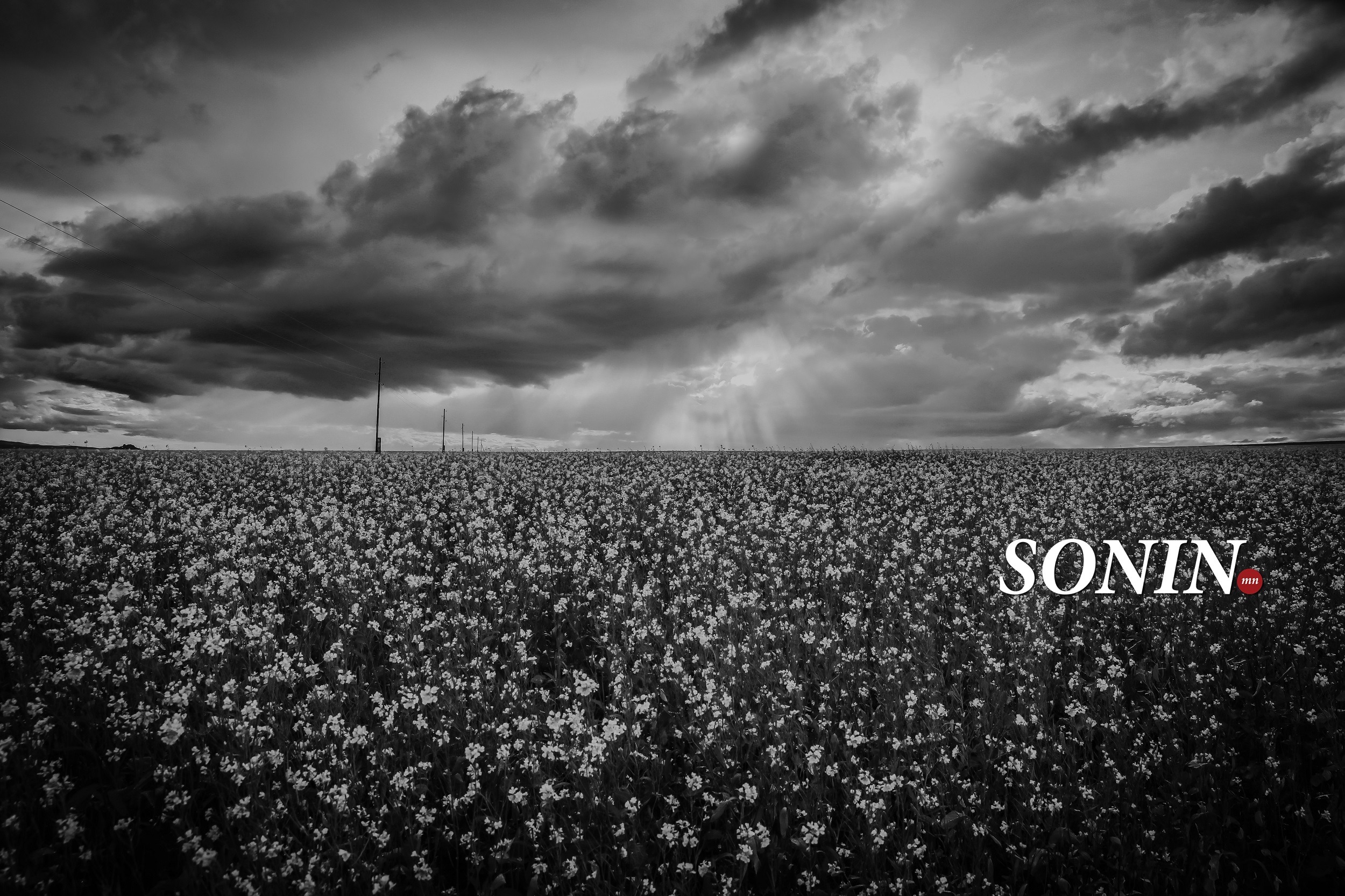 sonin.mn