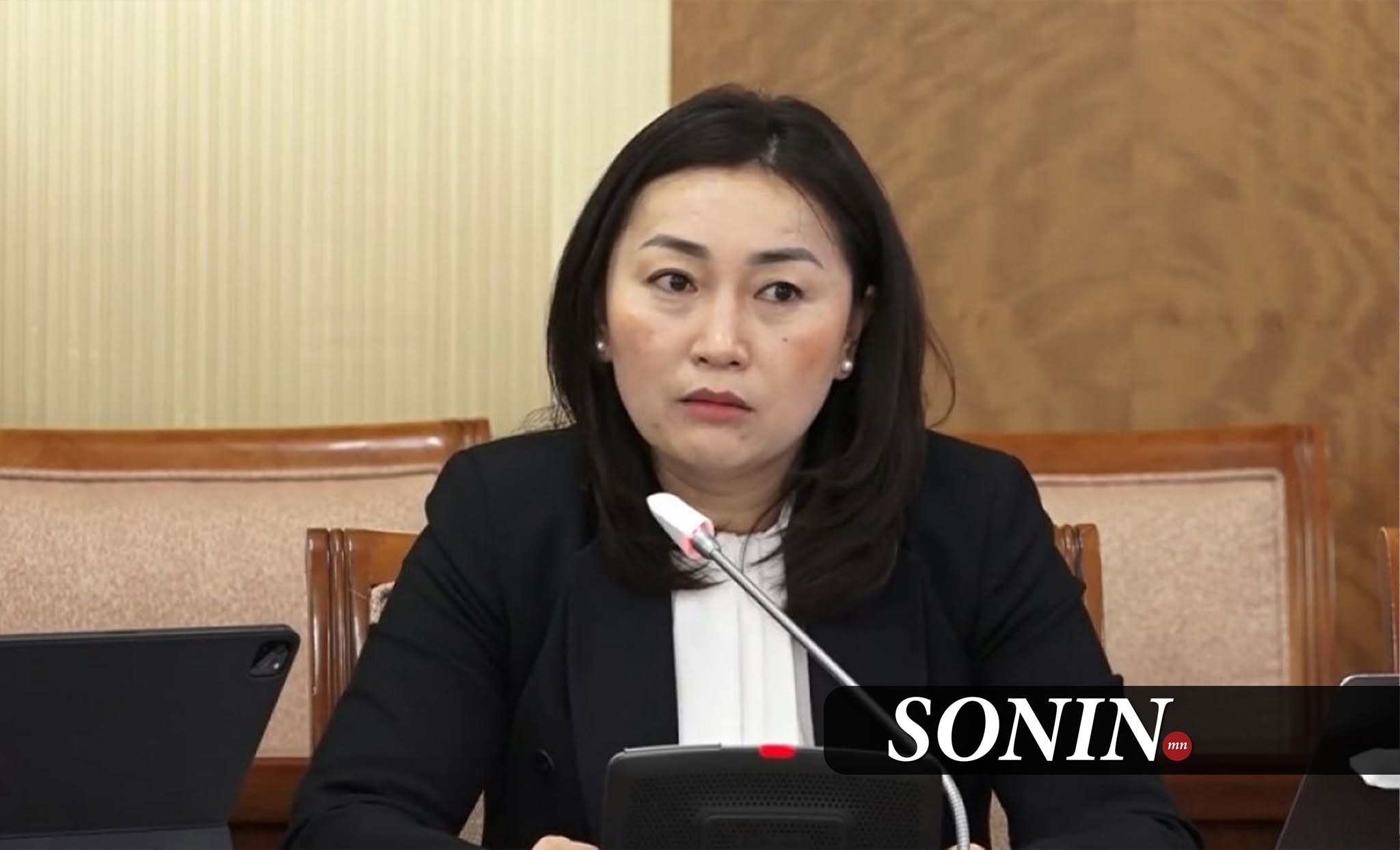 sonin.mn