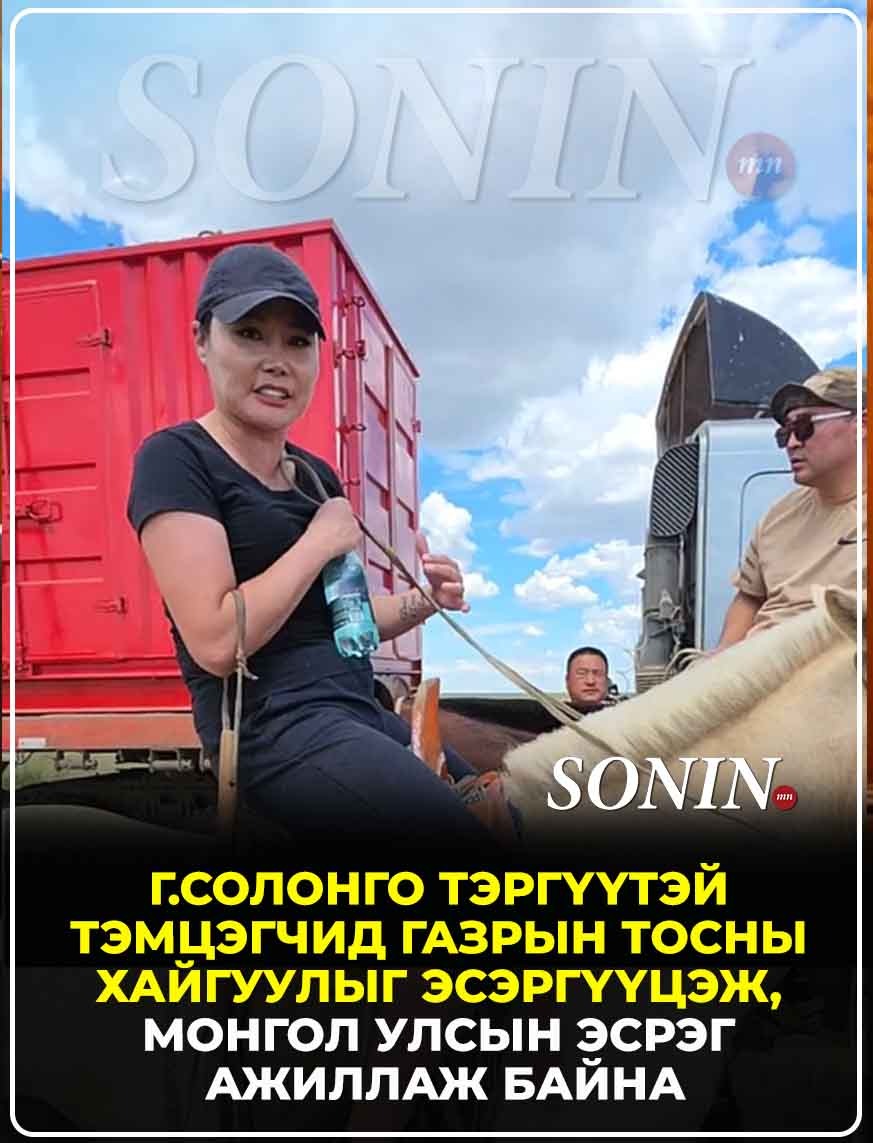 sonin.mn