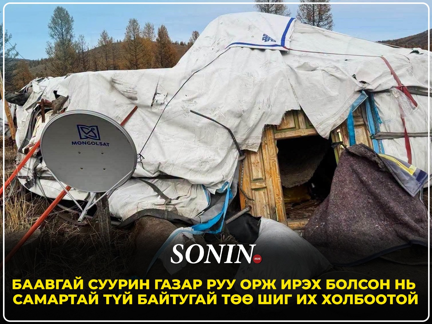 Баавгай суурин газар руу орж ирэх болсон нь самартай түй байтугай төө шиг их холбоотой