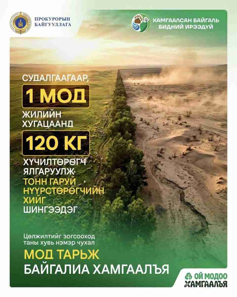 С.Эрдэнэтуяа: Хууль бусаар мод бэлтгэх гэмт хэрэг үйлдсэн хүнд мод тарих албадлагын арга хэмжээ хэрэглэж байна